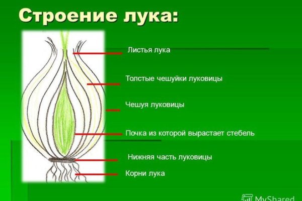 Кракен аккаунт не найден