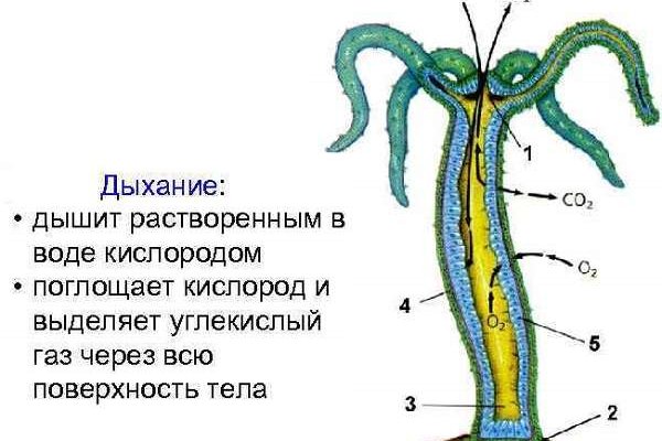 Кракен оригинальная ссылка для тор